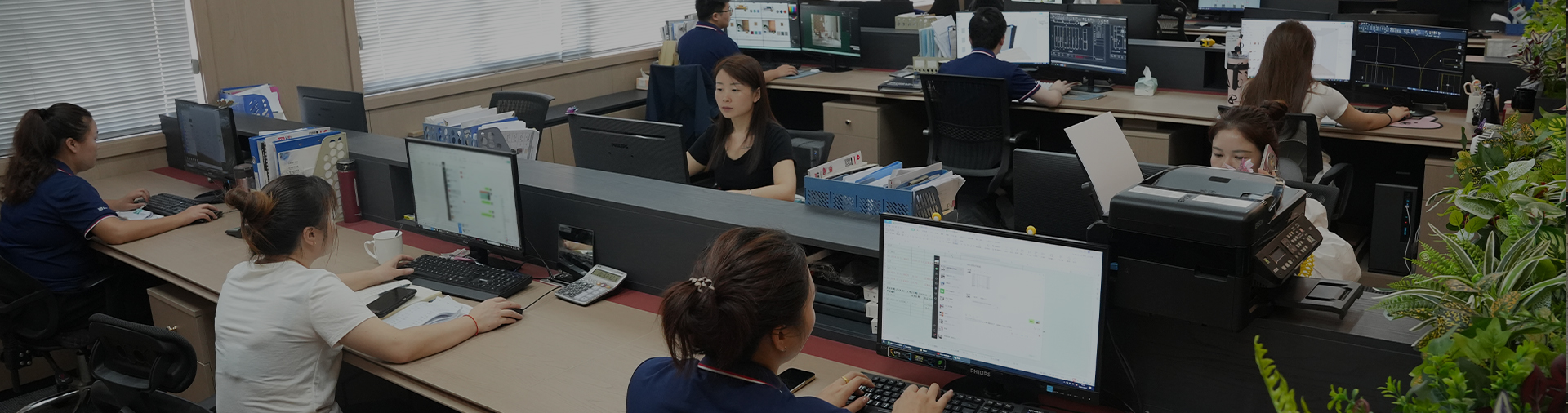 Jinhua Shuaida New Materials Co., Ltd.