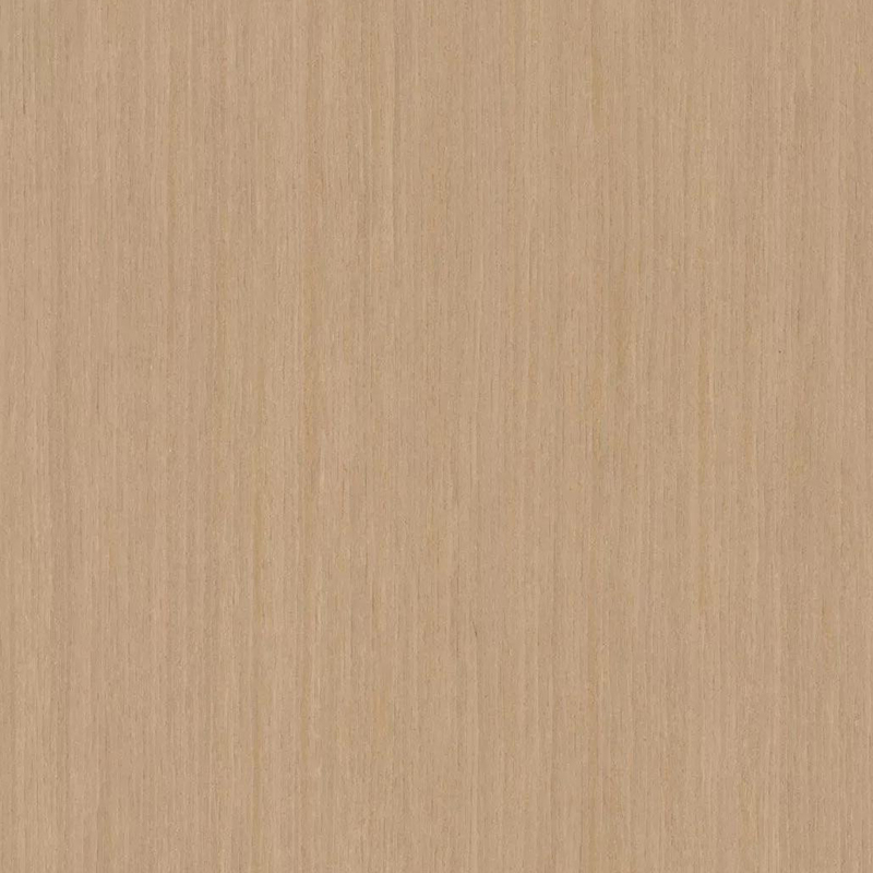 Roble039