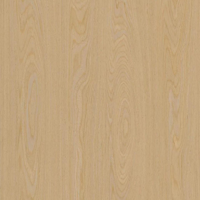 Roble033