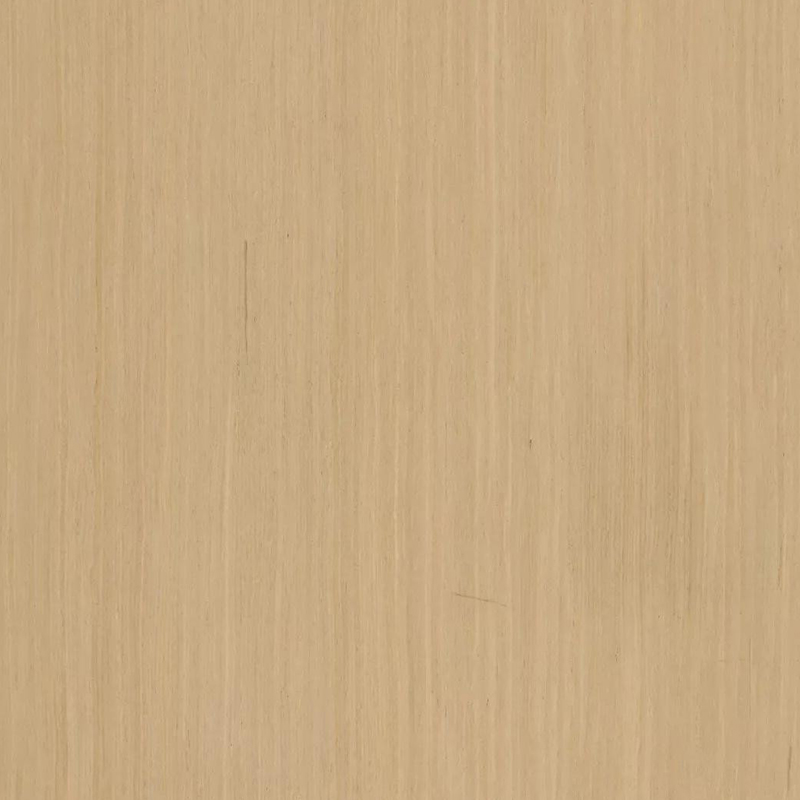 Roble019