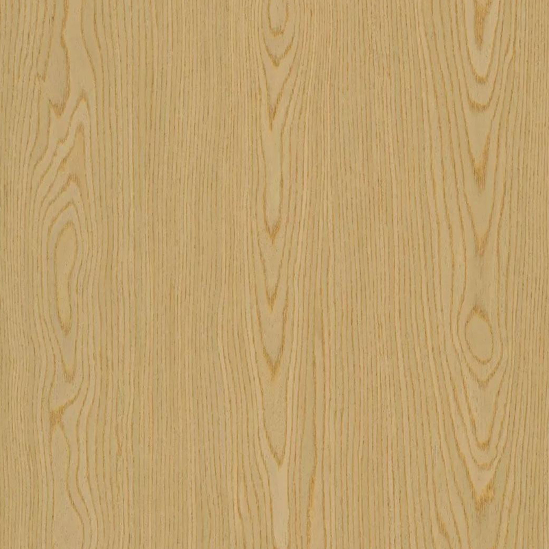 Roble017