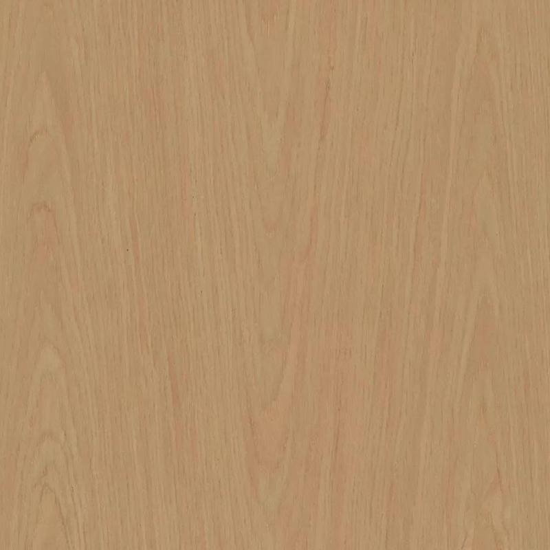 Roble018