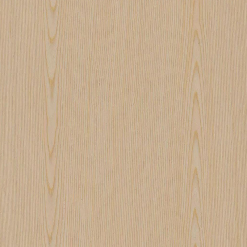 Roble015
