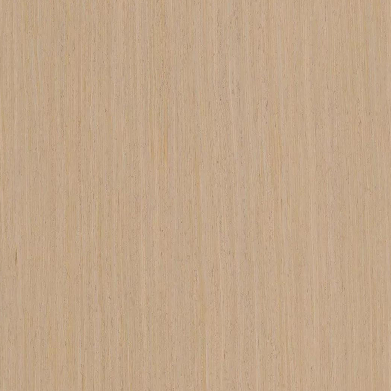 Roble013
