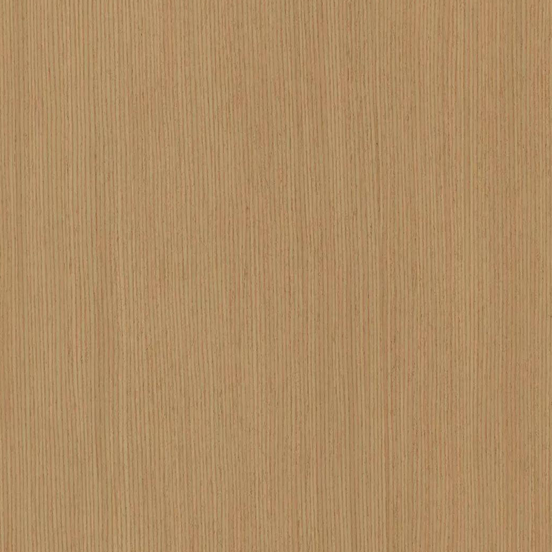 Roble014