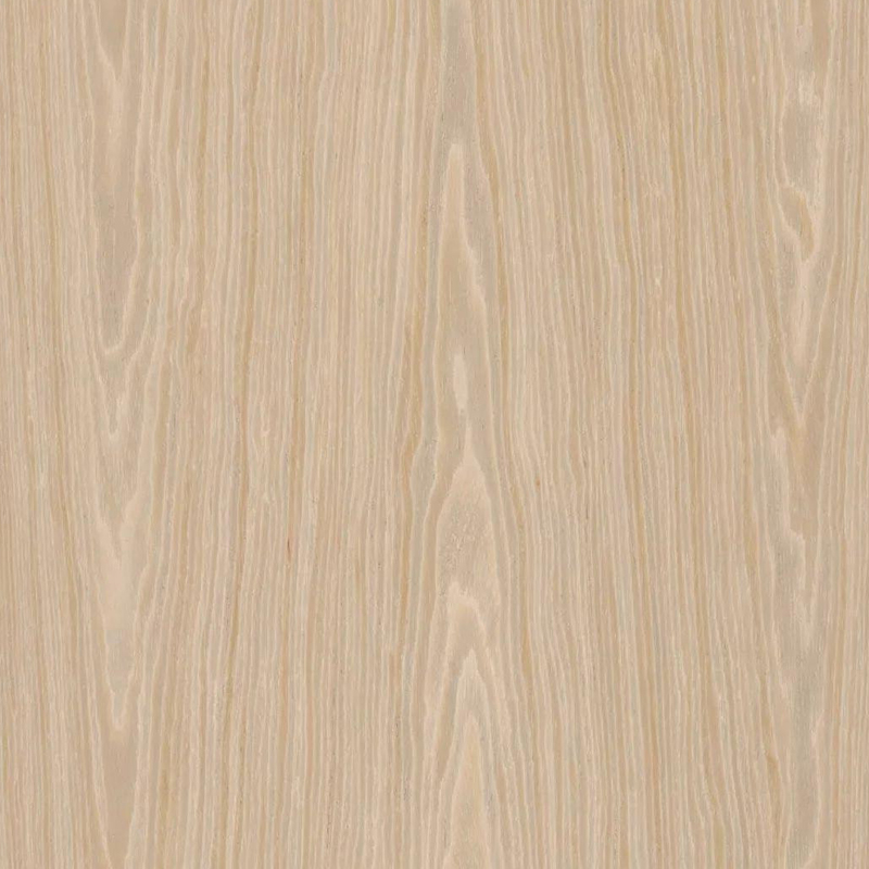 Roble006